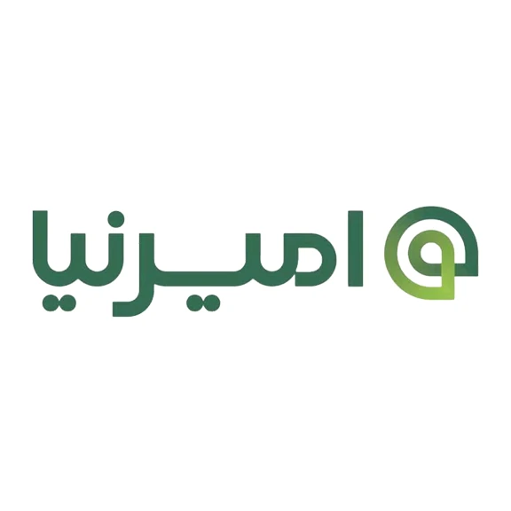 لوگوی برند امیرنیا